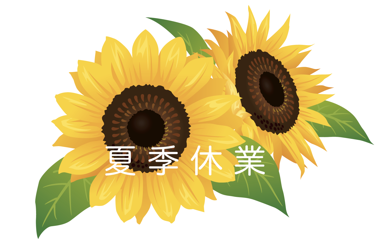 夏季休講のお知らせ